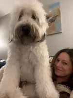 processed/d6317161-1401-4493-a5dc-f5f67e7458dc/facility/ff8baf6c-624a-4b55-9061-9d7675e28103