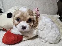 processed/d6317161-1401-4493-a5dc-f5f67e7458dc/listing/2a7e9866-6905-4717-939f-00812e8ad9b0/20efbadc-2513-4427-8c9b-3e92c7b5704b