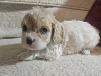 processed/d6317161-1401-4493-a5dc-f5f67e7458dc/listing/2a7e9866-6905-4717-939f-00812e8ad9b0/2a9d7d85-2731-46ee-ba2f-4b5f0a10b67a