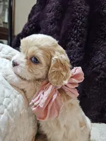 processed/d6317161-1401-4493-a5dc-f5f67e7458dc/listing/2a7e9866-6905-4717-939f-00812e8ad9b0/d19339f4-08dd-4200-a229-4f1d59716d94