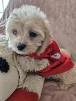 processed/d6317161-1401-4493-a5dc-f5f67e7458dc/listing/50850a98-0436-4618-9ac3-6cffe23994a1/57acd990-924a-4050-ba02-2e1324220e04