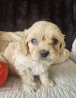 processed/d6317161-1401-4493-a5dc-f5f67e7458dc/listing/50850a98-0436-4618-9ac3-6cffe23994a1/9179a2db-f495-4a11-aa18-c7e37d538990