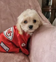 processed/d6317161-1401-4493-a5dc-f5f67e7458dc/listing/50850a98-0436-4618-9ac3-6cffe23994a1/a960690a-6d11-436f-8aac-280f51ae4669