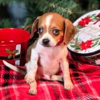 processed/d631d75c-315b-410b-9678-684acbf34054/listing/31ae5725-c621-4738-8564-66654bfe4805/02945772-8520-4d6d-96ac-ad5e6696c546