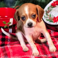 processed/d631d75c-315b-410b-9678-684acbf34054/listing/31ae5725-c621-4738-8564-66654bfe4805/2c2fbf95-a67b-48c7-b20b-6a82e7da18bd