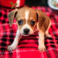 processed/d631d75c-315b-410b-9678-684acbf34054/listing/31ae5725-c621-4738-8564-66654bfe4805/73f89b76-e28a-4baa-af7d-a8e34d3b5390