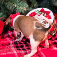 processed/d631d75c-315b-410b-9678-684acbf34054/listing/31ae5725-c621-4738-8564-66654bfe4805/a5483d6e-e24c-4685-a05c-38a6ed784a07