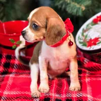 processed/d631d75c-315b-410b-9678-684acbf34054/listing/31ae5725-c621-4738-8564-66654bfe4805/a9c2d524-b61e-49d8-9862-bc8991995553