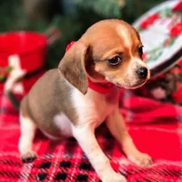 processed/d631d75c-315b-410b-9678-684acbf34054/listing/31ae5725-c621-4738-8564-66654bfe4805/b890143b-d6fb-439f-80b4-a45d848e870b