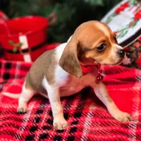 processed/d631d75c-315b-410b-9678-684acbf34054/listing/31ae5725-c621-4738-8564-66654bfe4805/c864a6ab-8c41-4408-b5b6-3109f5c238e3