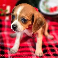 processed/d631d75c-315b-410b-9678-684acbf34054/listing/31ae5725-c621-4738-8564-66654bfe4805/e2e6de92-8c50-4ed4-ac7b-2d42e31e3f09