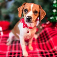 processed/d631d75c-315b-410b-9678-684acbf34054/listing/560bbd97-44a7-40d6-82dd-24d0fe60d1e8/c856b9c7-03c4-42d9-80d5-10cee9b4ecae