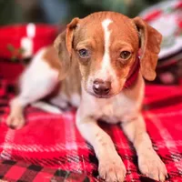 processed/d631d75c-315b-410b-9678-684acbf34054/listing/90cdb6ac-fd94-4817-a038-61ffc8370048/e00f3977-4d05-411e-8469-20c7ffae489d