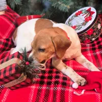 processed/d631d75c-315b-410b-9678-684acbf34054/listing/b4f9db58-8538-43c4-aacb-22e6e6c6c85d/9b7b4dd4-75e6-4a15-a45a-ffe1454f67c7