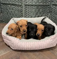 Facility photo