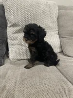 processed/d63e4440-285c-419b-9f66-240720b28bfb/listing/005f0875-e247-47fa-8350-d6f89c5a111f/255afefd-5b10-4d1e-a64c-453b050c394e