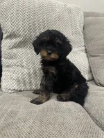 processed/d63e4440-285c-419b-9f66-240720b28bfb/listing/005f0875-e247-47fa-8350-d6f89c5a111f/39de5809-ace0-40de-8a0e-14ae2fc8bf8d