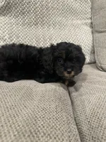 processed/d63e4440-285c-419b-9f66-240720b28bfb/listing/7e273f2c-969d-432d-b6e2-32410c39a7c2/45c387ae-4026-48fa-b403-e02cb113264e