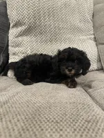 processed/d63e4440-285c-419b-9f66-240720b28bfb/listing/7e273f2c-969d-432d-b6e2-32410c39a7c2/53a2f205-6be6-4a8d-b764-c105cfa51abd