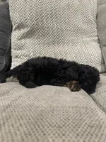 processed/d63e4440-285c-419b-9f66-240720b28bfb/listing/7e273f2c-969d-432d-b6e2-32410c39a7c2/9b6a52c1-a61d-475d-8b68-520e6683f156