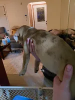 processed/d63f6b87-eecf-49a7-89e7-935823faf1d1/listing/008d747a-ab15-4129-bf71-2c554921c401/7d5e0888-5b25-483d-8fd3-98c3af5b14c2