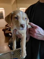 processed/d63f6b87-eecf-49a7-89e7-935823faf1d1/listing/008d747a-ab15-4129-bf71-2c554921c401/cc585164-3d5b-49d3-9ed1-ca53be003c69