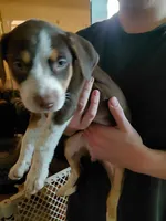 processed/d63f6b87-eecf-49a7-89e7-935823faf1d1/listing/b8551fab-c58f-444b-832b-1c0414bdbce2/7fff4ddd-9dad-4336-8d9b-82e0eca2f4c8