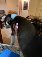 processed/d63f6b87-eecf-49a7-89e7-935823faf1d1/listing/b8551fab-c58f-444b-832b-1c0414bdbce2/f6ba7f5f-59e7-43d3-950b-b1795afc963a