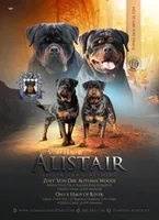 processed/d640a4ec-f1b8-48fb-805f-acc5e63f5aa5/listing/db3e662b-5d71-4cc0-9e77-ba9050fc48f8/e6f57bde-3f45-4a45-93bf-03974cac4c23