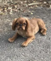 processed/d644f6dc-e26b-405e-9b45-d97f1ee81a99/facility/29bf6977-9683-4add-b691-d882de702360