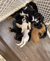 processed/d644f6dc-e26b-405e-9b45-d97f1ee81a99/facility/4761018f-3298-455e-b386-737d958e7684