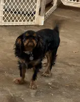 processed/d644f6dc-e26b-405e-9b45-d97f1ee81a99/facility/4b9a6866-8f20-469f-8017-1251a52b1fc0