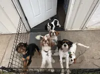 processed/d644f6dc-e26b-405e-9b45-d97f1ee81a99/facility/56667e3a-fa7d-49d4-90a6-58038431cd5c