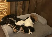 processed/d644f6dc-e26b-405e-9b45-d97f1ee81a99/facility/802e0fac-3635-4b11-8152-b8b1c3fc5569