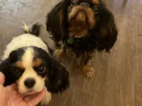 processed/d644f6dc-e26b-405e-9b45-d97f1ee81a99/facility/ec8e5012-707a-4194-813f-895bcd16e544