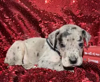 processed/d64b5ec7-e88d-4598-b2f7-3377fba6ac7a/listing/2f4f097f-33e2-493a-9ea9-d05b501aadc4/23e74774-1f6d-40e5-a6f0-d9a2b7e49d14