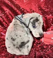 processed/d64b5ec7-e88d-4598-b2f7-3377fba6ac7a/listing/2f4f097f-33e2-493a-9ea9-d05b501aadc4/380ba7b2-d2f9-47d6-9897-424fcf25a155