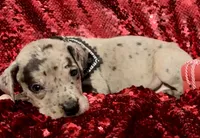 processed/d64b5ec7-e88d-4598-b2f7-3377fba6ac7a/listing/2f4f097f-33e2-493a-9ea9-d05b501aadc4/5b13e4aa-a1b0-47a5-a37c-88603e1d33ba