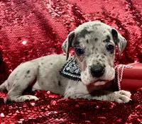 processed/d64b5ec7-e88d-4598-b2f7-3377fba6ac7a/listing/2f4f097f-33e2-493a-9ea9-d05b501aadc4/9312d7cd-537e-4f8e-b120-81ddb73a4518