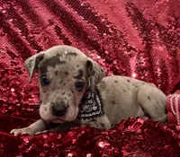 processed/d64b5ec7-e88d-4598-b2f7-3377fba6ac7a/listing/2f4f097f-33e2-493a-9ea9-d05b501aadc4/a0765585-7f03-450e-9d1f-c96b33d23d90