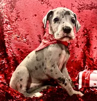 processed/d64b5ec7-e88d-4598-b2f7-3377fba6ac7a/listing/5f7b7a6a-e93f-431e-b18c-fe7fee20ae51/5756152f-bf15-4ed1-8852-316e0c8e240b