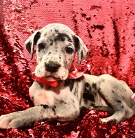 processed/d64b5ec7-e88d-4598-b2f7-3377fba6ac7a/listing/5f7b7a6a-e93f-431e-b18c-fe7fee20ae51/9d9068bf-390e-43d4-8bd5-a15e7c4bf447