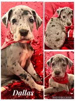 processed/d64b5ec7-e88d-4598-b2f7-3377fba6ac7a/listing/5f7b7a6a-e93f-431e-b18c-fe7fee20ae51/9e67466a-f886-4dd9-92f3-07f8c95318e2