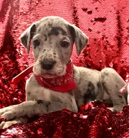 processed/d64b5ec7-e88d-4598-b2f7-3377fba6ac7a/listing/5f7b7a6a-e93f-431e-b18c-fe7fee20ae51/c8c204e2-ae93-4cf3-b436-d6cf176de2a7