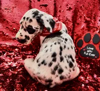 processed/d64b5ec7-e88d-4598-b2f7-3377fba6ac7a/listing/795acd95-b5c4-48fe-902c-dfda10825395/830a703b-491f-48f4-ba17-06e6b771fc6d