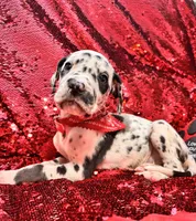 processed/d64b5ec7-e88d-4598-b2f7-3377fba6ac7a/listing/795acd95-b5c4-48fe-902c-dfda10825395/deebe4da-7736-4d43-bc28-c638166ba67f