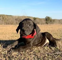 processed/d64b5ec7-e88d-4598-b2f7-3377fba6ac7a/listing/800df1f9-656f-4522-ab74-317d76f9dbfc/d4f1a229-d271-45c7-b781-c539572cc929