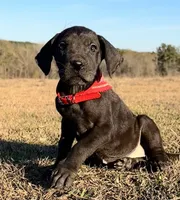 processed/d64b5ec7-e88d-4598-b2f7-3377fba6ac7a/listing/800df1f9-656f-4522-ab74-317d76f9dbfc/d8c7c94b-45e0-41ea-89ef-06a504b3c8cc