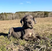 processed/d64b5ec7-e88d-4598-b2f7-3377fba6ac7a/listing/c44a0333-9991-4dc9-ae0f-a5108f301f78/3c79ac87-176a-49f8-a984-dbe48230138a