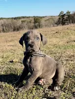 processed/d64b5ec7-e88d-4598-b2f7-3377fba6ac7a/listing/c44a0333-9991-4dc9-ae0f-a5108f301f78/71c77572-cdac-431f-ac8a-d3046cc950c5